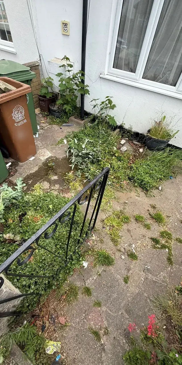 End of tenancy clearance in Sutton, after