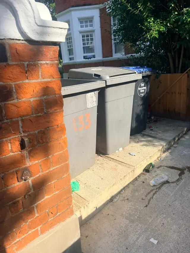 Bin removal in Leytonstone, after